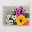 Search for happy birthday daisy flower postcards Bouquet