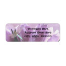 Search for purple tulips return address labels Flowers