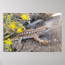 Search for fencing art Photograph