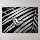 Search for exotic plants posters Black and white