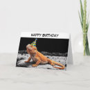 Search for bearded dragon cards Lizard