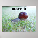 Search for rude posters Funny