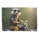 Search for motorcycle pillowcases Funny