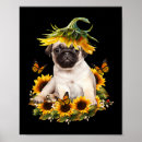 Search for butterfly dog posters Dogs
