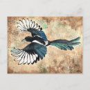 Search for magpie postcards Watercolor