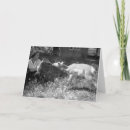 Search for antelope cards Photograph