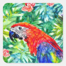 Search for colourful parrot stickers Beautiful