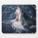 Search for mouth open electronics Animal