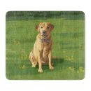 Search for labrador chopping boards Yellow lab