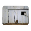 Search for window magnets Animals