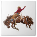 Search for rodeo tiles Bucking