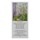 Search for st francis of assisi prayer cards Funeral