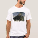 Search for eruptions tshirts Landscape
