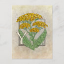 Search for yarrows postcards Floral