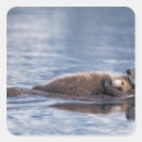 Search for otter box Sound