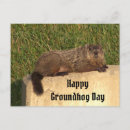 Search for groundhog day postcards Animals