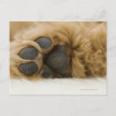 Search for human hand postcards Studio shot