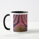 Search for provence lavender mugs Colourful