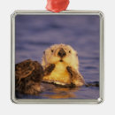 Search for monterey california christmas tree decorations United states