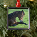 Search for equine christmas tree decorations Equestrian