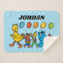 Search for sesame street blankets Character