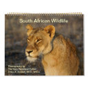 Search for south africa calendars Lion