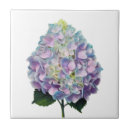 Search for hydrangea tiles Botanical