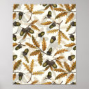Search for acorns posters Autumn