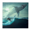 Search for shark tiles Sea life