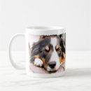 Search for sheep dog mugs Pet