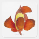 Search for swim fins stickers Sealife