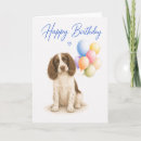 Search for springer spaniel birthday cards Dog lover