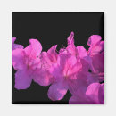 Search for rhododendron magnets Flora