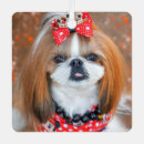 Search for shih tzu puppy christmas tree decorations Animal