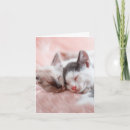 Search for cuddles cards Couple