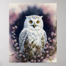Search for owl portrait posters Nature