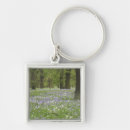 Search for bluebell key rings Tree