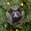 Search for lemur christmas tree decorations Primate