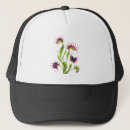 Search for carnivorous hats Nature
