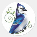 Search for blue jay bird stickers Bluebird