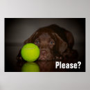 Search for chocolate lab art Puppy