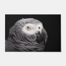 Search for parrot doormats Nature