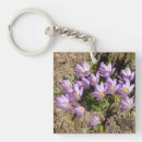 Search for crocus key rings Photography