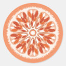 Search for fruit graphic stickers Food