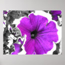 Search for tint posters Floral