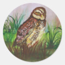 Search for watercolor owl stickers Brown