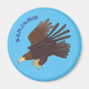 Search for eagles magnets Funny