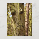 Search for tree face postcards Nature