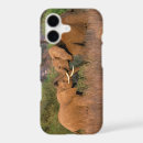 Search for tusks iphone cases Animal