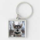 Search for sled dog key rings Snow